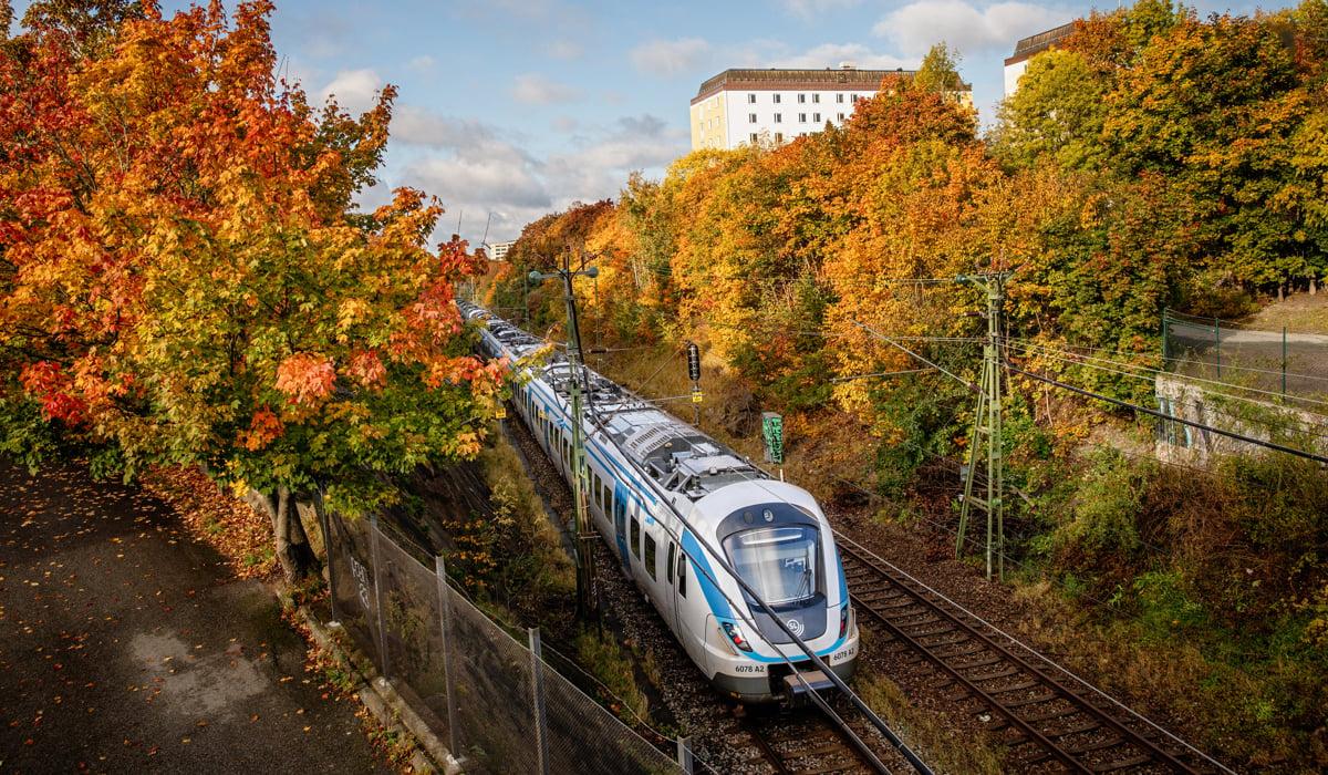 Det är tydligt höst och mellan de rödgula träden susar ett pendeltåg