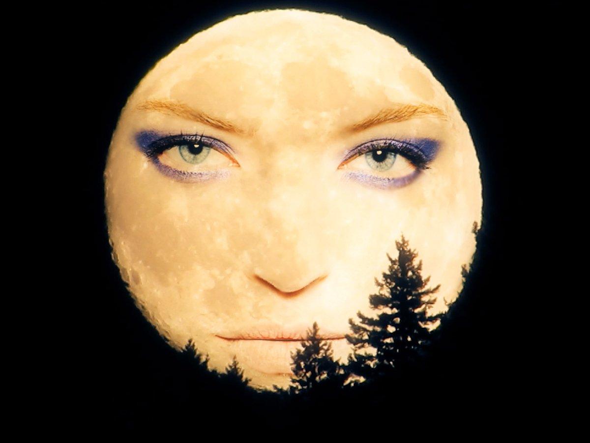 Filmruta. Måne som ett kvinnoansikte. Siluetten av några grantoppar sticker upp från den mörka natten runt omkring ansiktet.