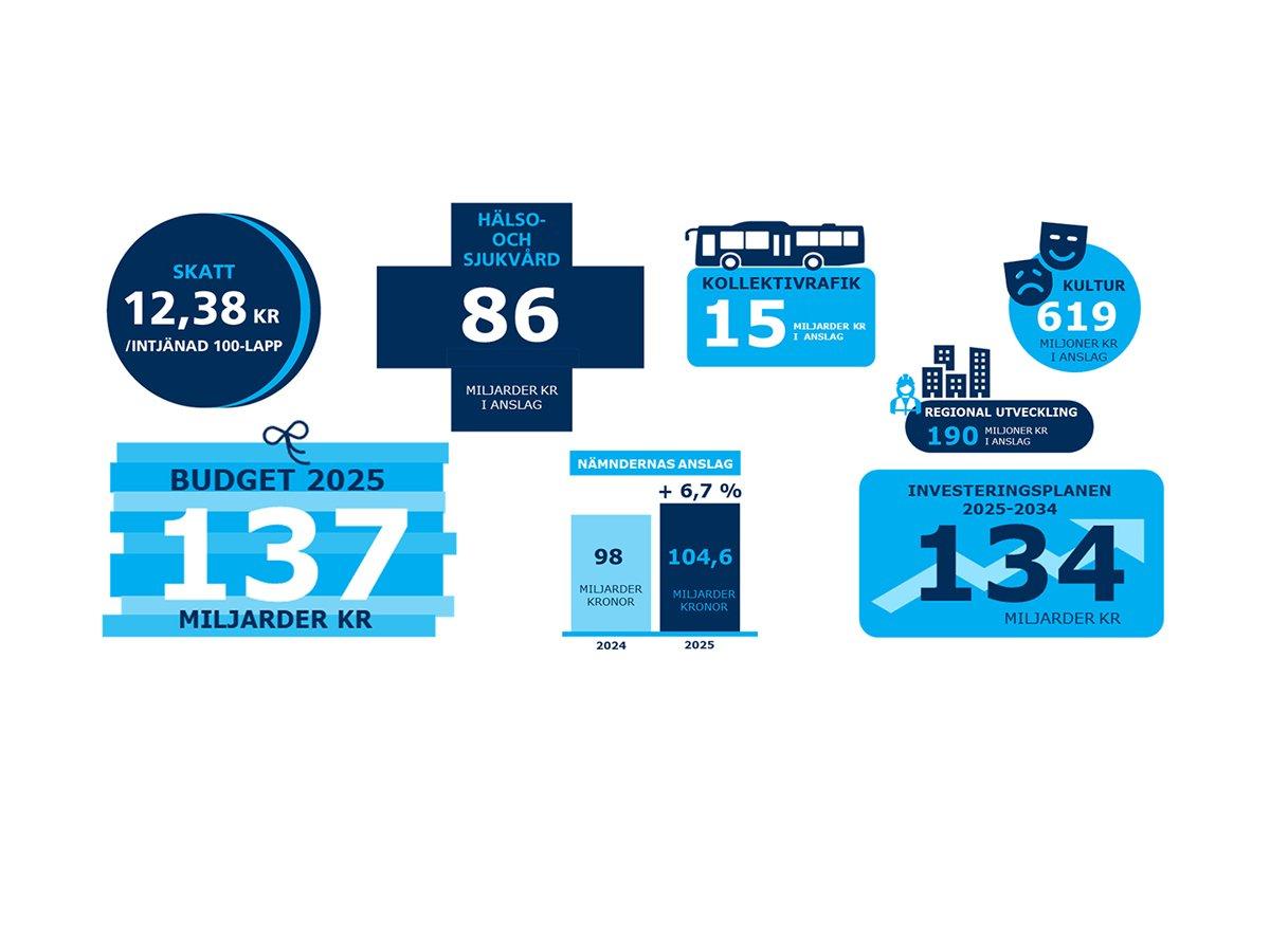 Grafik över budget 2025 för Region Stockholm.