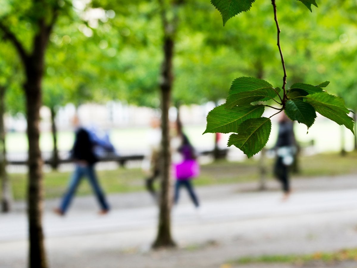 Människor promenerande i en allé.